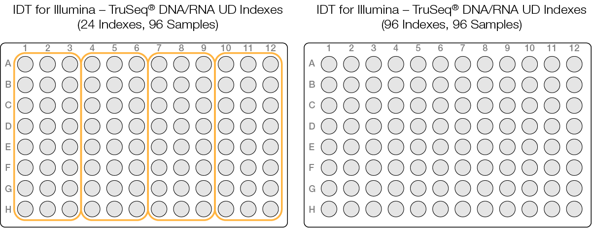 IDT for Illumina Plate Layouts